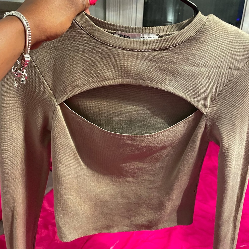 Zara Peak A Boo Long Sleeve Crop Top